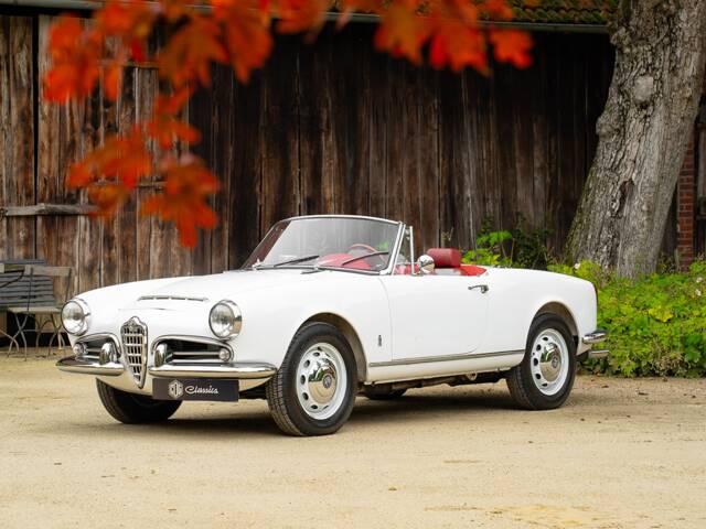 Alfa Romeo Giulia 1600 Spider