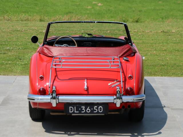 Austin-Healey 3000 Mk III (BJ8)