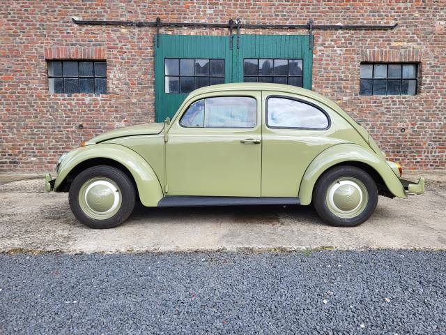 Volkswagen Beetle 1200 Standard "Dickholmer"