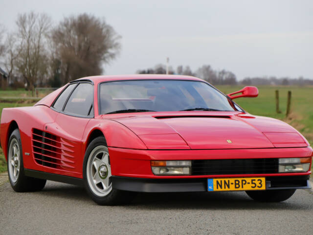 Immagine 1/50 di Ferrari Testarossa (1985)