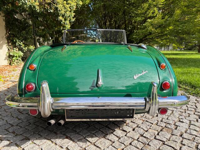 Austin-Healey 100/6 (BN6)