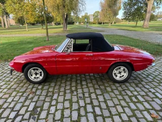 Immagine 1/10 di Alfa Romeo 1300 Spider Junior (1968)