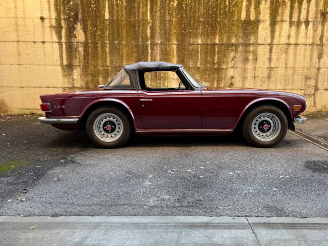 Imagen 1/28 de Triumph TR 6 PI (1973)