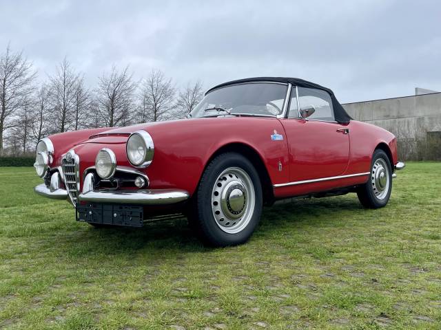 Immagine 1/24 di Alfa Romeo Giulia 1600 Spider (1963)