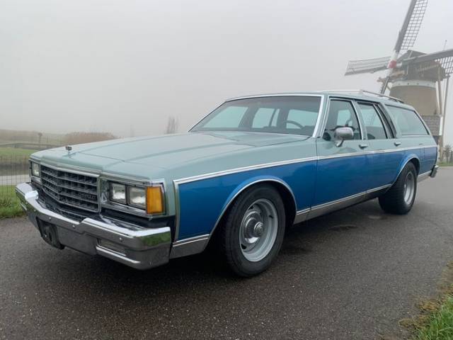 Image 1/9 of Chevrolet Caprice Classic Station Wagon (1982)