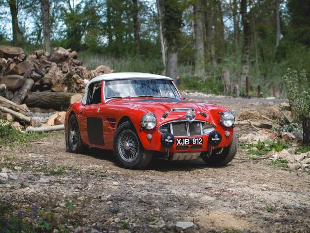 Immagine 1/28 di Austin-Healey 3000 Mk I (BT7) (1960)