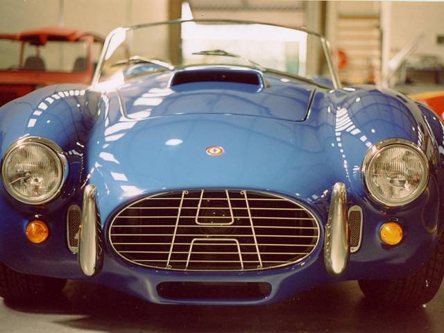 Immagine 1/6 di Hayden Cobra 427 (1965)