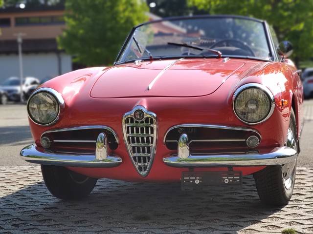 Bild 1/24 von Alfa Romeo Giulietta Spider (1961)