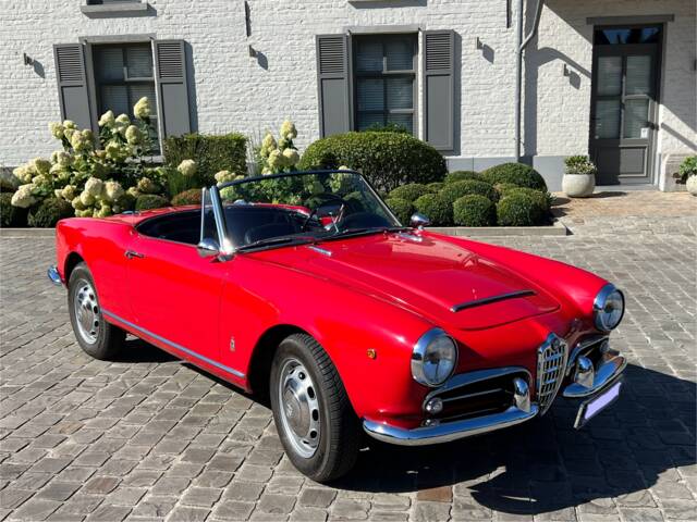 Immagine 1/85 di Alfa Romeo Giulia 1600 Spider Veloce (1964)