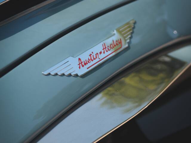 Austin-Healey 3000 Mk I (BT7)