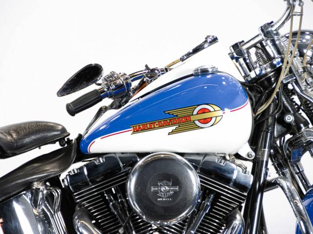 Harley-Davidson FXSTS Softail Springer