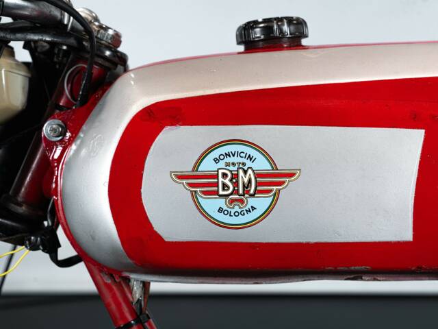 BM Jaguarino 50