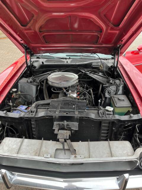 Ford Mustang 250