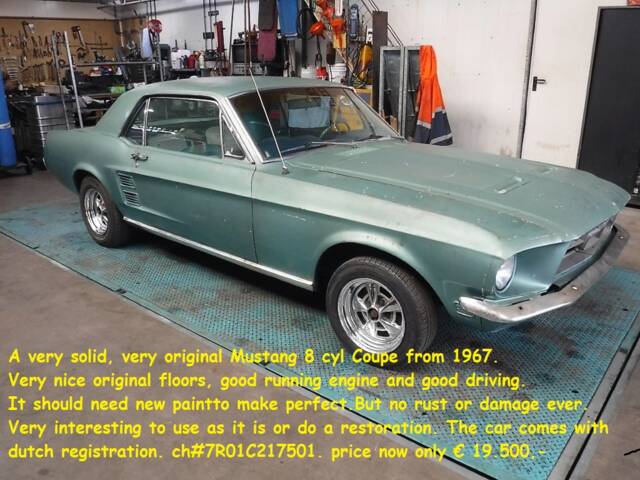Image 1/50 de Ford Mustang 289 (1967)