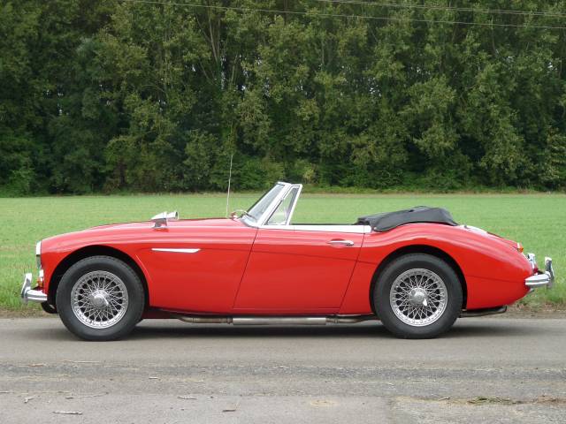 Austin-Healey 3000 Mk III (BJ8)
