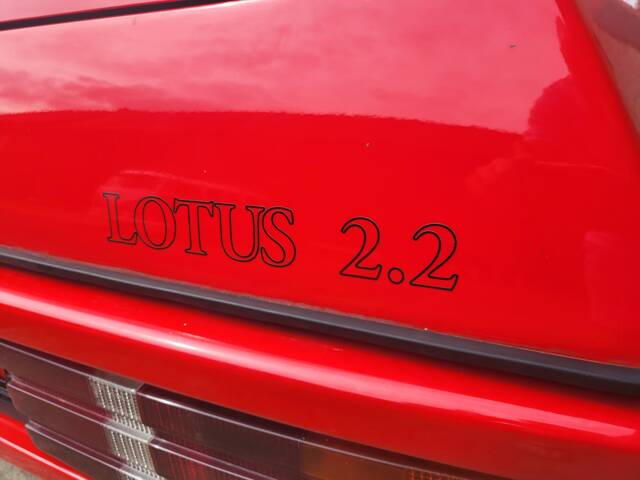 Lotus Excel