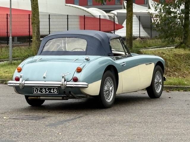 Austin-Healey 3000 Mk III (BJ8)