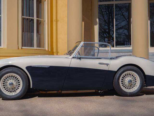Austin-Healey 100/6 (BN4)