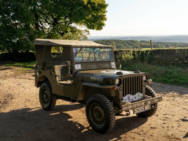 Immagine 1/7 di Willys MB (1943)