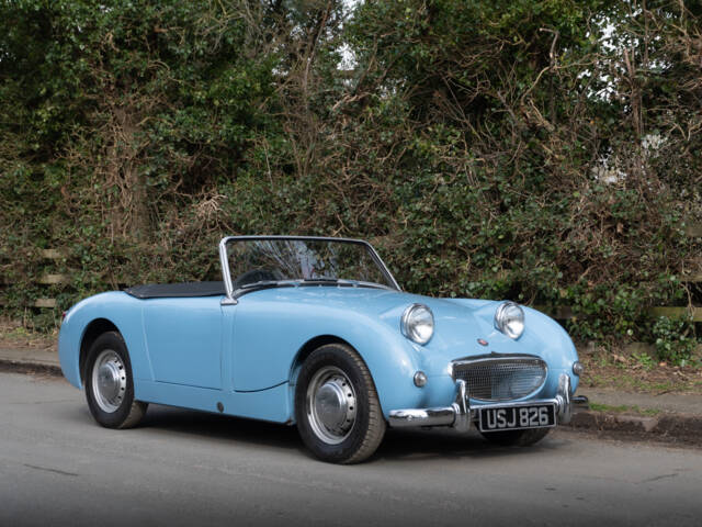 Image 1/15 of Austin-Healey Sprite Mk I (1959)