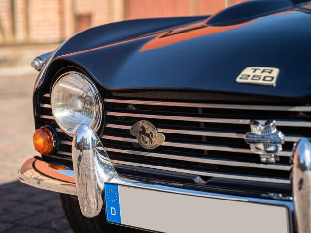 Triumph TR 250