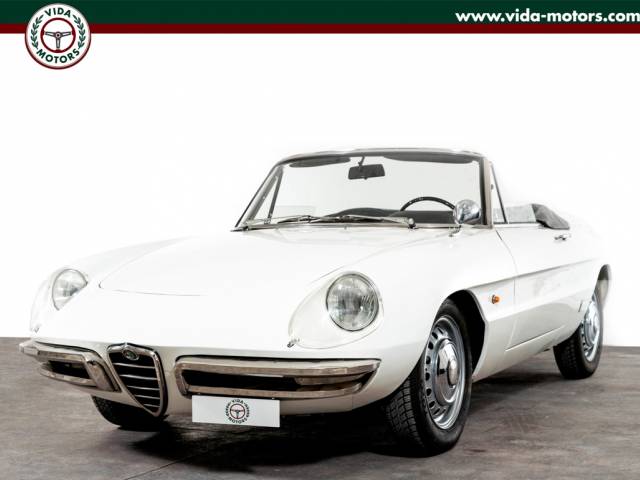 Bild 1/41 von Alfa Romeo 1600 Spider Duetto (1967)