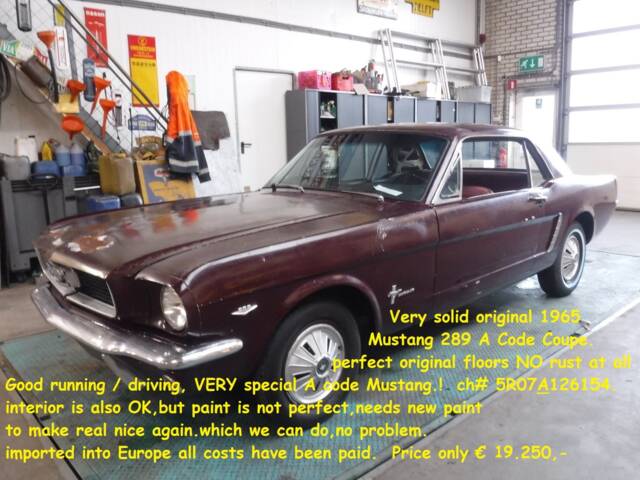 Image 1/37 of Ford Mustang 289 (1965)
