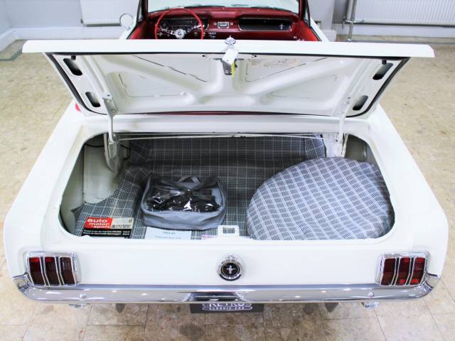 Ford Mustang 289