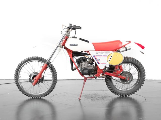 Bild 1/13 von Fantic DUMMY (1980)