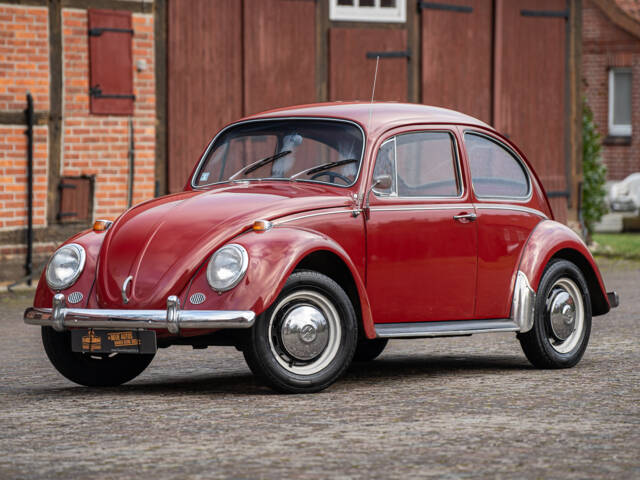 Image 1/38 de Volkswagen Coccinelle 1300 A (1967)