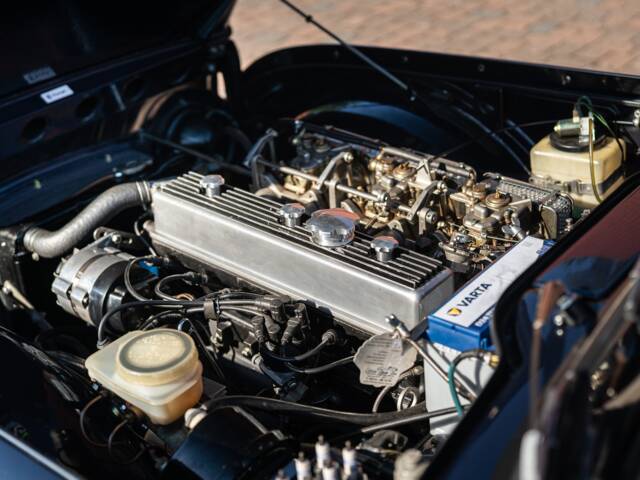 Triumph TR 250
