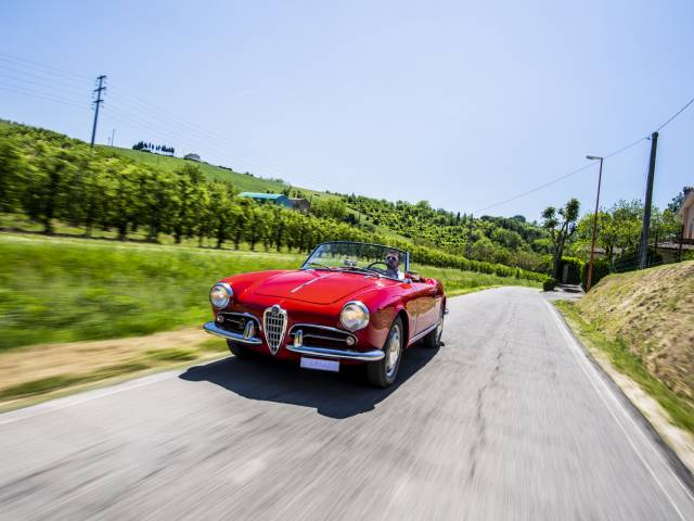 Image 1/46 de Alfa Romeo Giulietta Spider Veloce (1956)