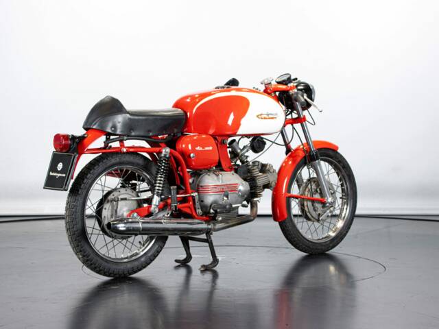 Aermacchi Ala Verde