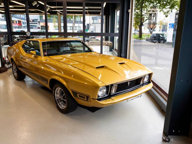 Image 1/46 of Ford Mustang Mach 1 (1973)