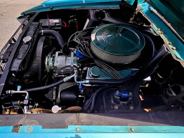 Ford Mustang 289