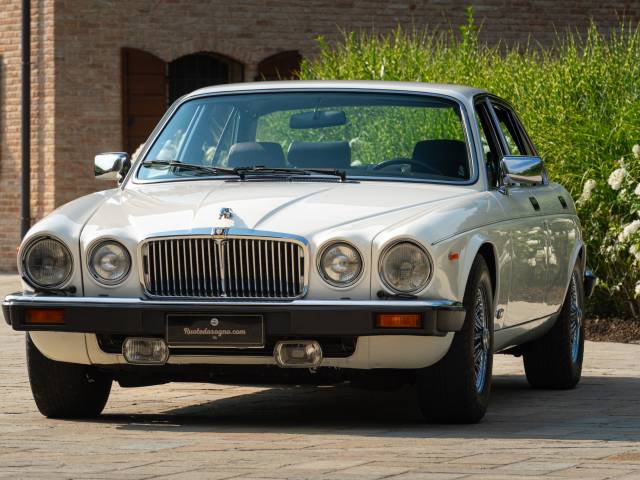 Bild 1/50 von Jaguar XJ 6 4.2 (1982)