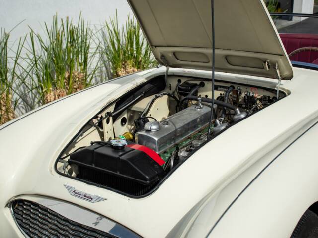 Austin-Healey 100/6 (BN4)