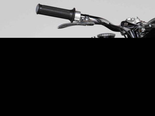 Riedel Motoren AG Imme R 100/D