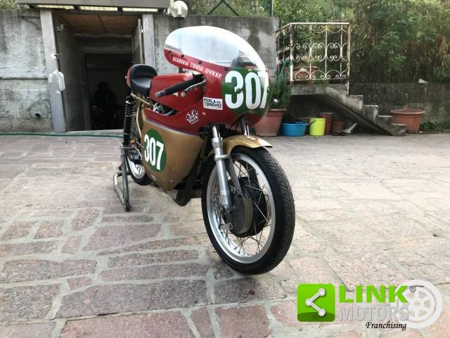 Bild 1/17 von Ducati Mototrans DUMMY (1968)