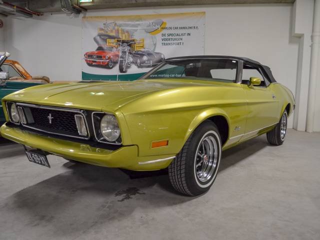 Bild 1/21 von Ford Mustang 250 (1973)
