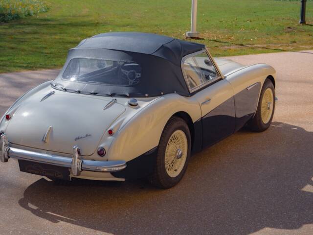 Austin-Healey 100/6 (BN4)