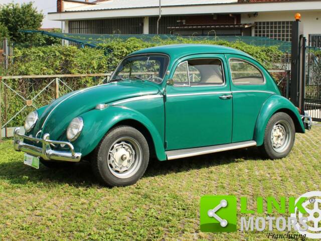 Image 1/10 de Volkswagen Coccinelle 1200 (1964)