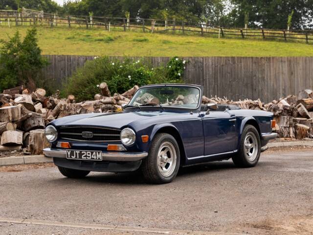 Immagine 1/22 di Triumph TR 6 (1974)