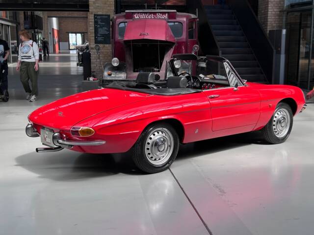 Bild 1/30 von Alfa Romeo 1600 Spider Duetto (1966)