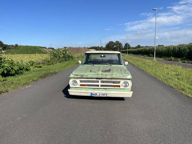 Dodge D 100