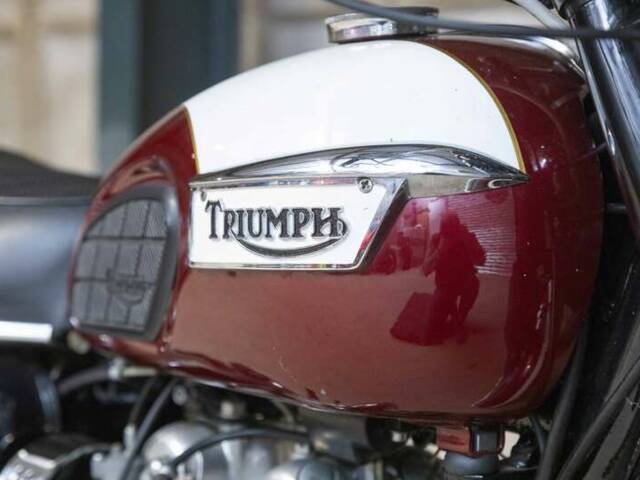 Triumph T 100 R Daytona