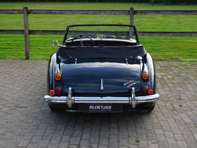 Austin-Healey 3000 Mk III (BJ8)