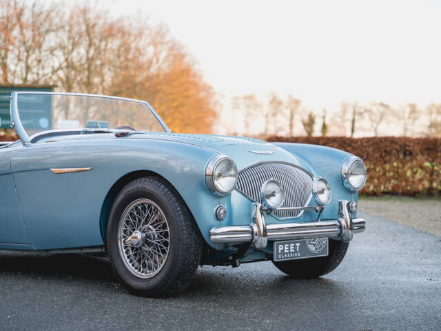 Austin-Healey 100/4 (BN1)