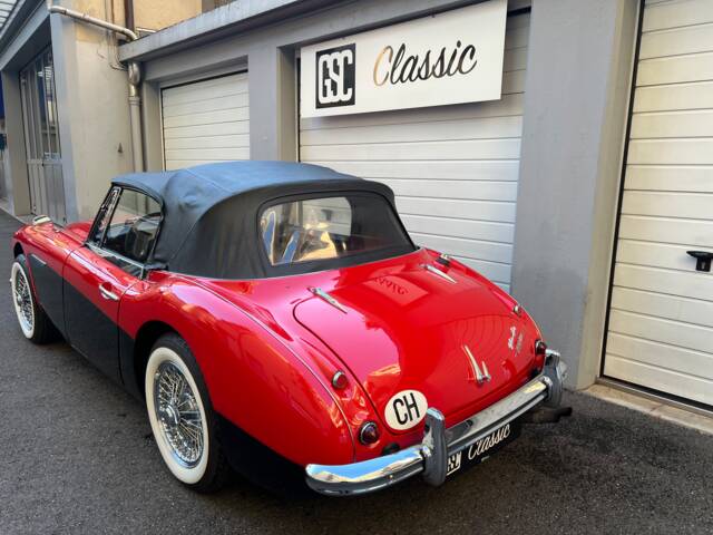 Austin-Healey 3000 Mk III (BJ8)