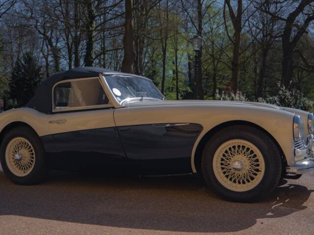 Austin-Healey 100/6 (BN4)